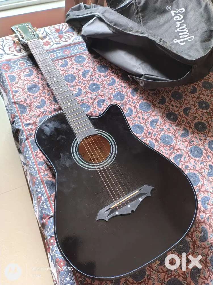 Aquastic Guiter