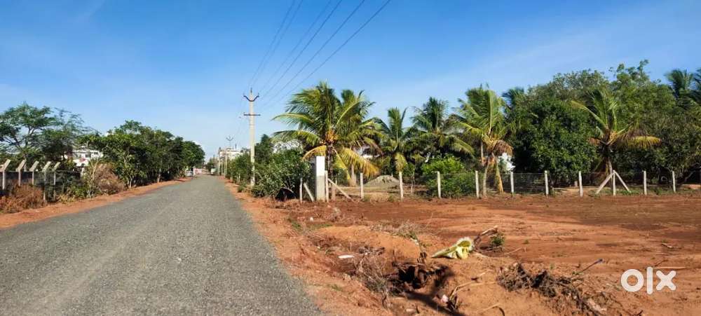 #Emergency sale for low budget plots @Trichy panjapur bustand