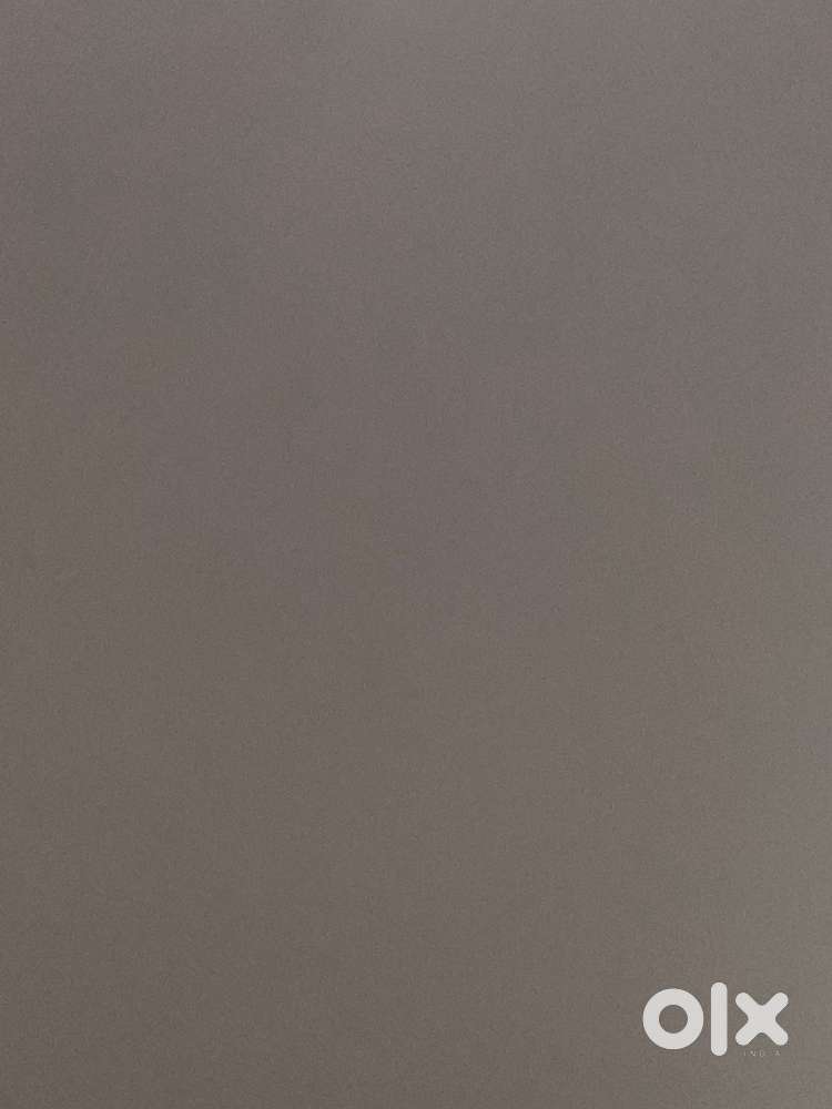 Happy news for undergraduates