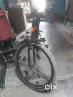 6 months old cycle only
