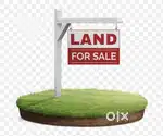 Good land for house.