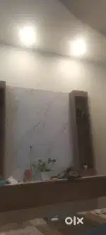 Need male room partner