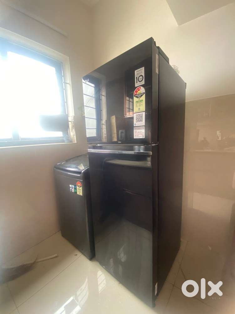 LG 246L double door sparkle black fridge