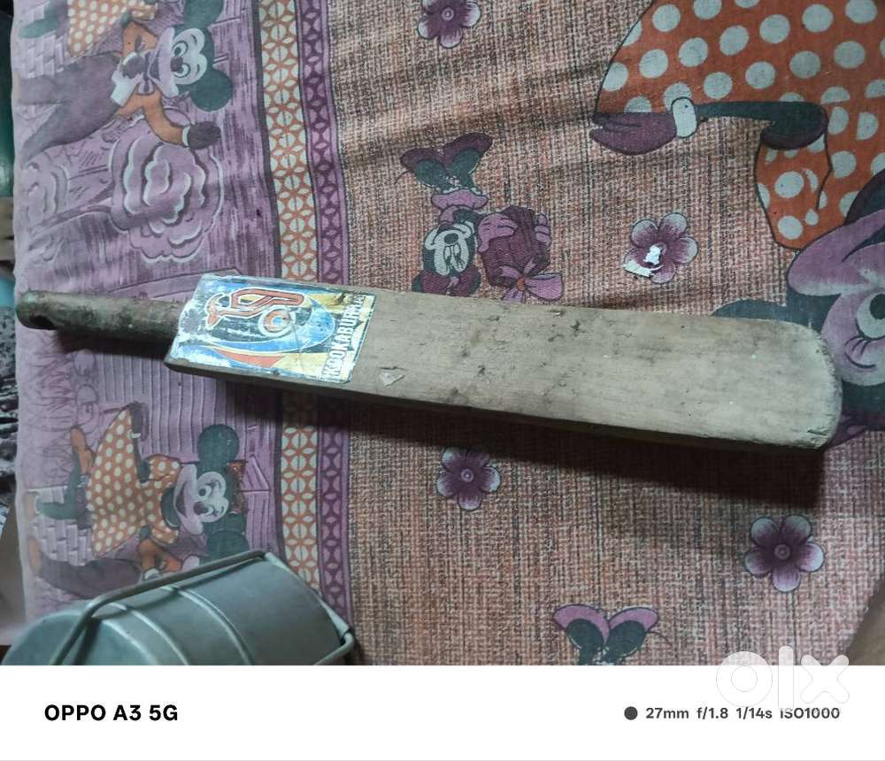 Kookaburra,kashmiri willow