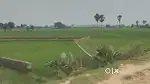 Rajgir crpf camp ke bagal me or stadium ke back side 500 Miter ki duri
