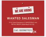 Wanted Salesman