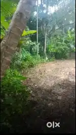 RESIDENTIAL  LAND FOR SALE VADAYAR 29 CENT