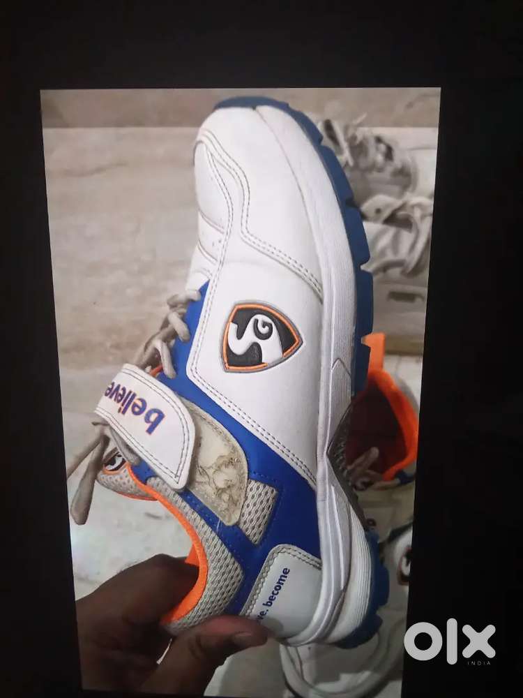Cricket shoe