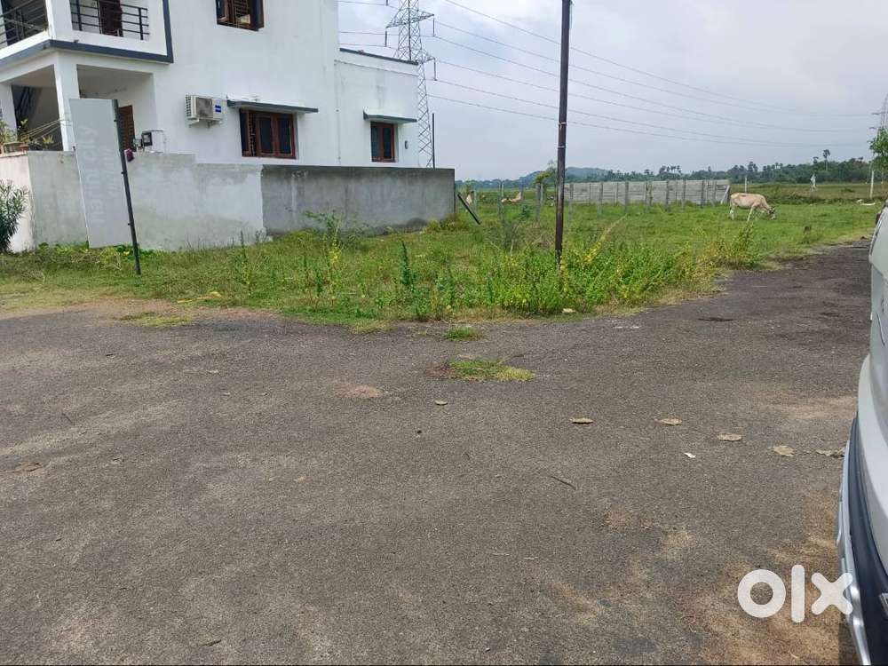 Nellikuppam(Guduvancherry)