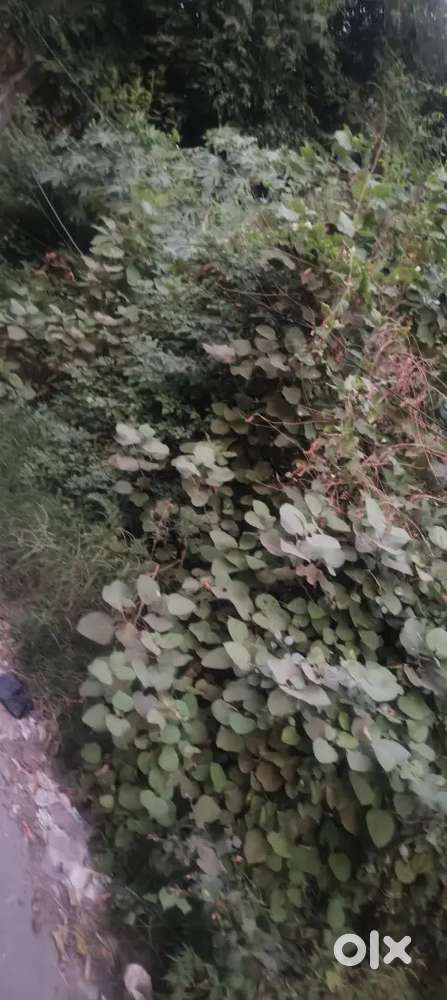 Plot for sale 17000 gaj