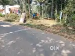 ചെണ്ടകുനി, അപ്പാട് റോഡിൽ 5,8,9 ഹൌസ് പ്ലോട്ട് വില്പനക്ക്