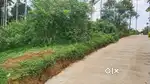 10 Cent House Plot For Sale – Pachilakkad Panamaram, Wayanad