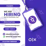 Business Development Executive