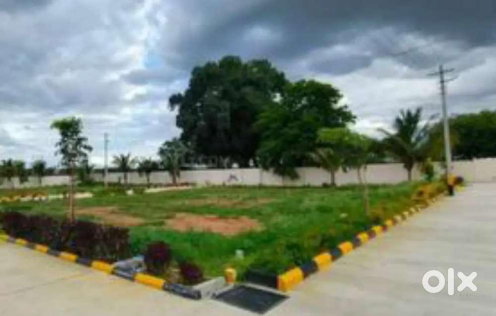 Land for sale at Kakkanad