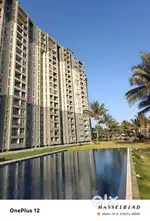 Flate for rent, on an immediate basis