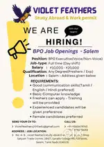 BPO Executive (Voice / Non-Voice)