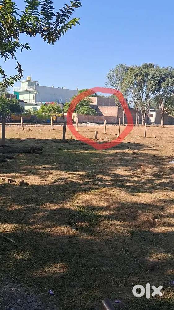 Near of Child juvenile