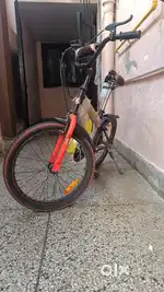 Avon cycle