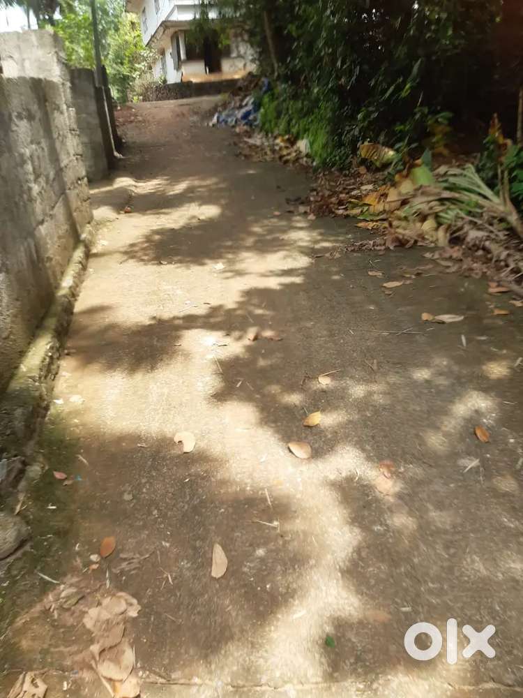 Plot for sale near Karakkad railway station