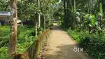 Pullad Almavu kavalaku sameepam.10,7 cent house plot