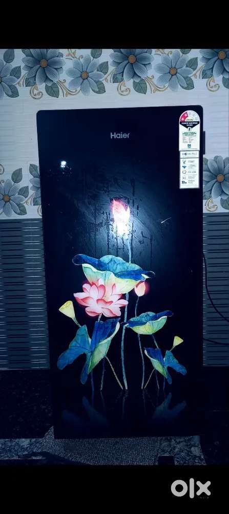 Haier Fridge