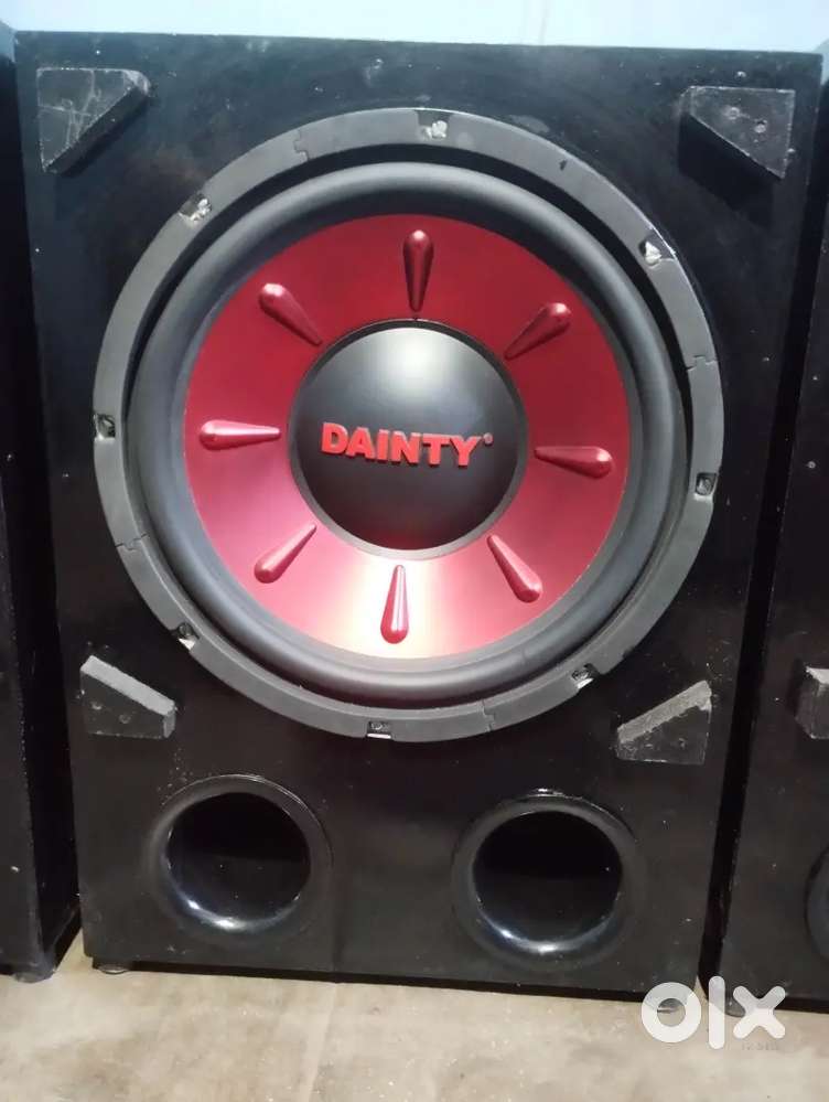 Dainity sub woofer 12inch
