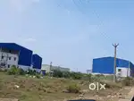 Dtcp approved plots in RAJIV NAGAR papparambakkam