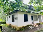 House for rent.new paint