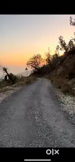 1 Bigah land near Maldevta (Sarona)