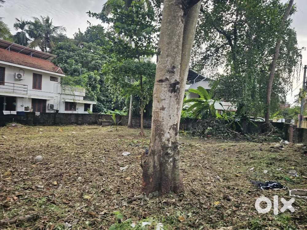 9 Cent Residencial and Semi Commercial Plot Sale Near Alinchuvad N