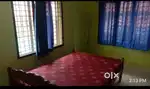 Two bhk furnished Appartment for rent at kathrikadavu
