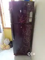 LG Fridge green ion Door cooling