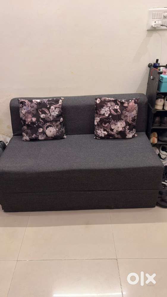 Sofa cum bed with cushions