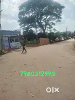রায় এজেন্সি