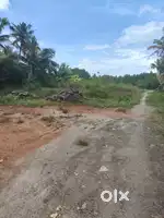 4cent,5cent HOUSE PLOT SALE PANANGAD NEAR NM JN