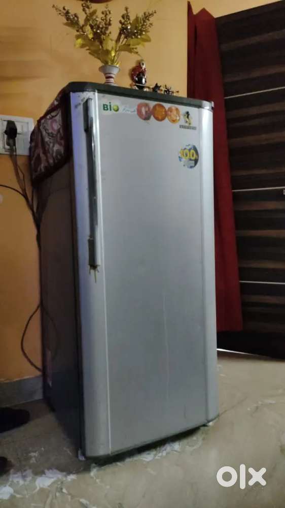 Single door refrigerator