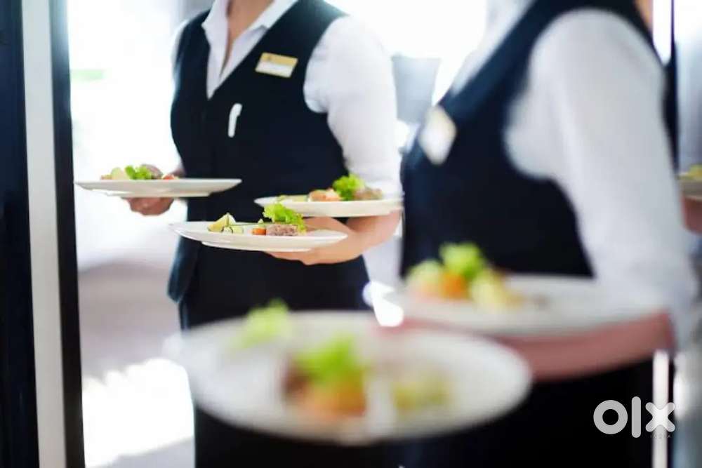 Urgent requirement boy and girl