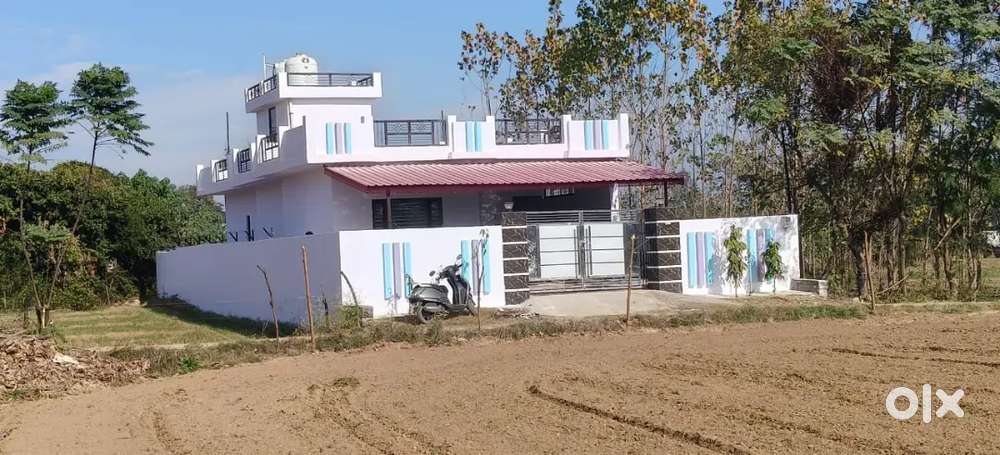 1.5 year old 23 marle