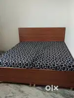 Newly Fully Furnished Room W/O Kitchen