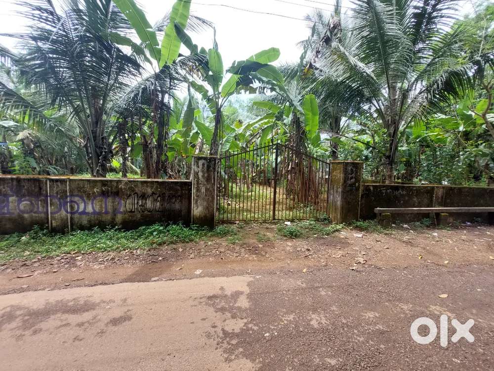 Land for sale near arafa English school