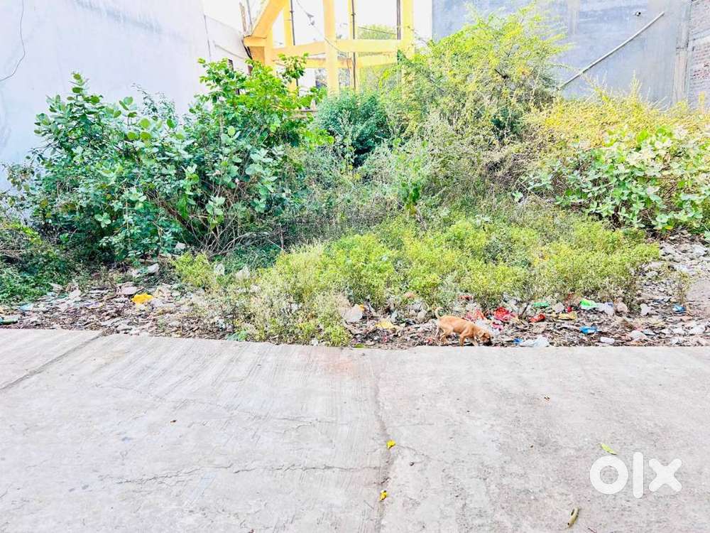 PLOT NO. 29 TAPI PARK TNCP COLONY BEHIND GEETA DATT NAGAR