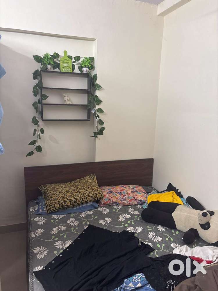 single room available for pg