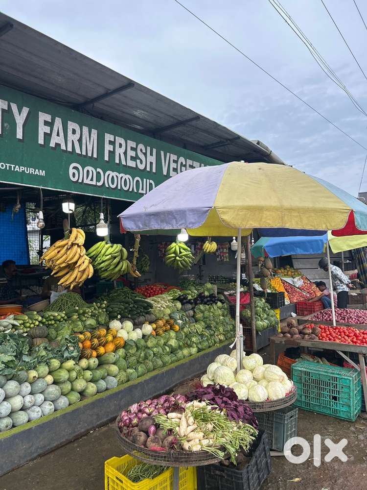 Sales Executive (Vegetable Shop Wholesale & Retail)