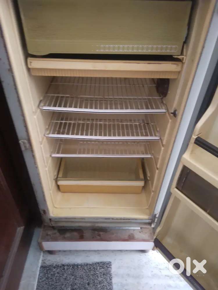 Sales of fridge