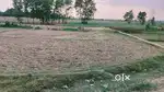 Alongside the harkatwa highway road