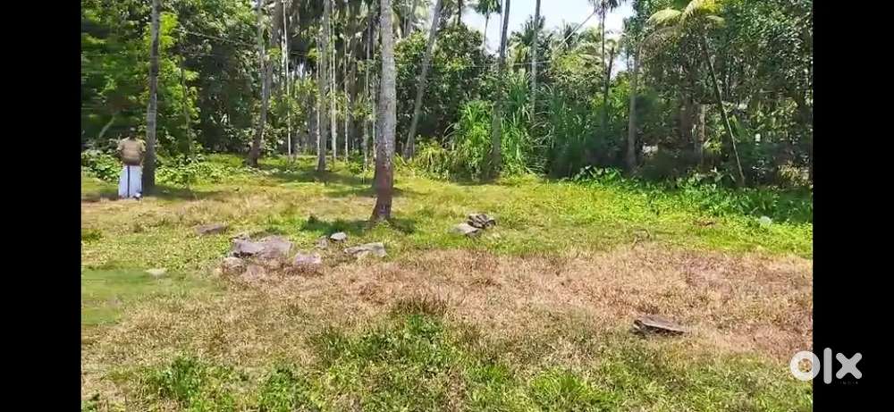 RESIDENTIAL PLOT IN THRIPRAYAR
