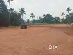 Kakkand Kangharapady– House Plots for Sale