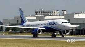 Urgent hiring for ground staff jobs in Indigo Airlines vacancy