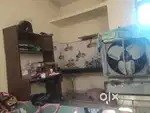 Need roommate