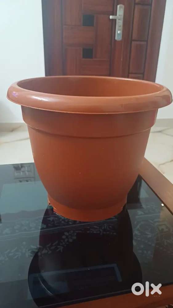 Flower Pot